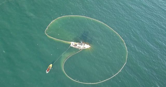 Seafishing